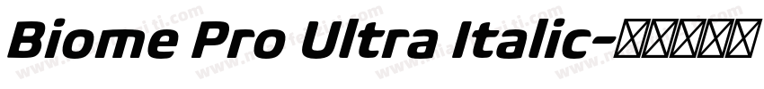 Biome Pro Ultra Italic字体转换